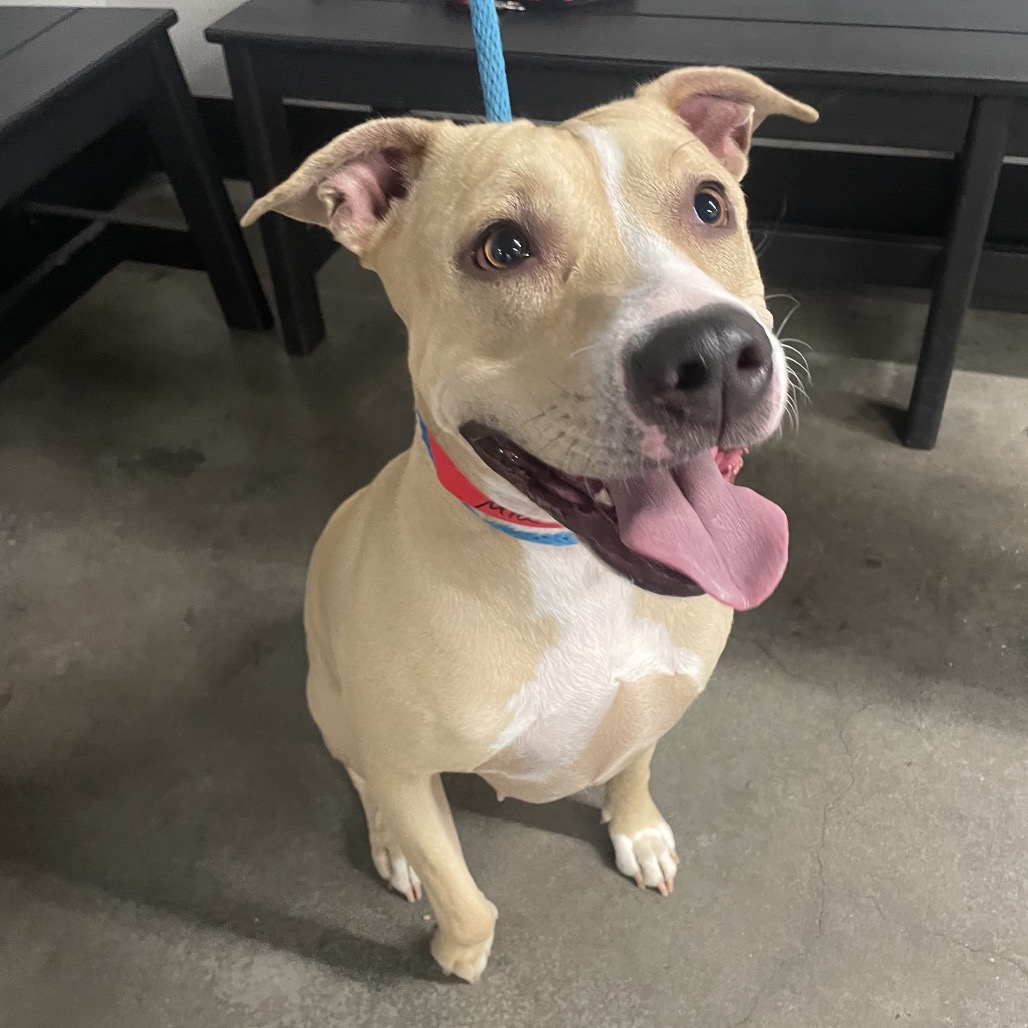 Mia 2 — thumbnail 2