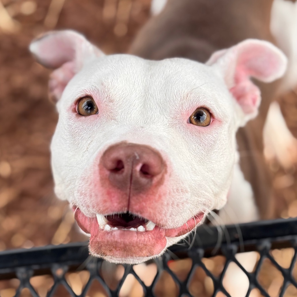 ba10469ee95e365369ce6b16530cf41b