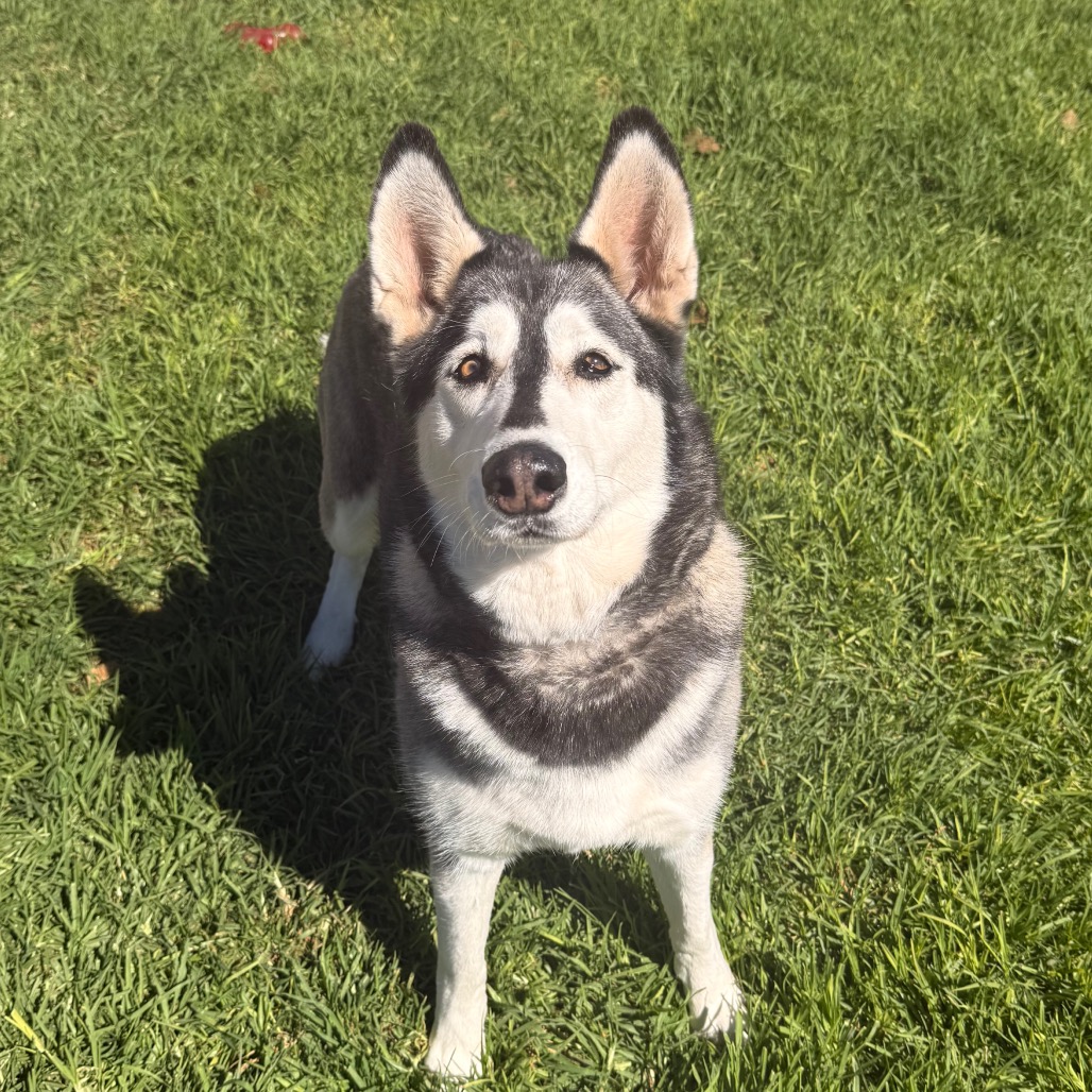 Tundra, photo 6