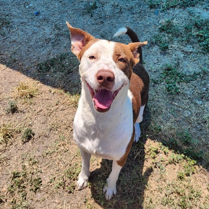 Zeus photo 5