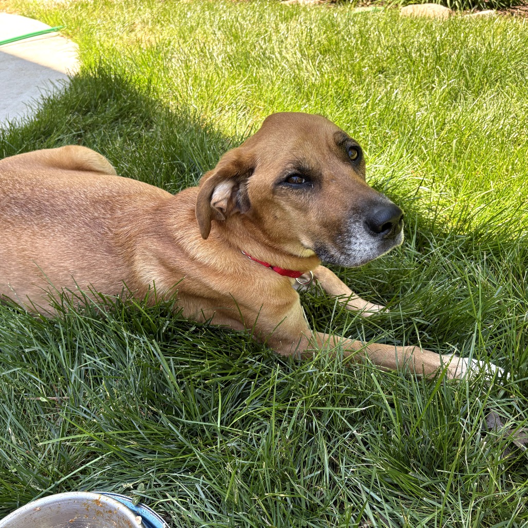 Cammie, photo 5