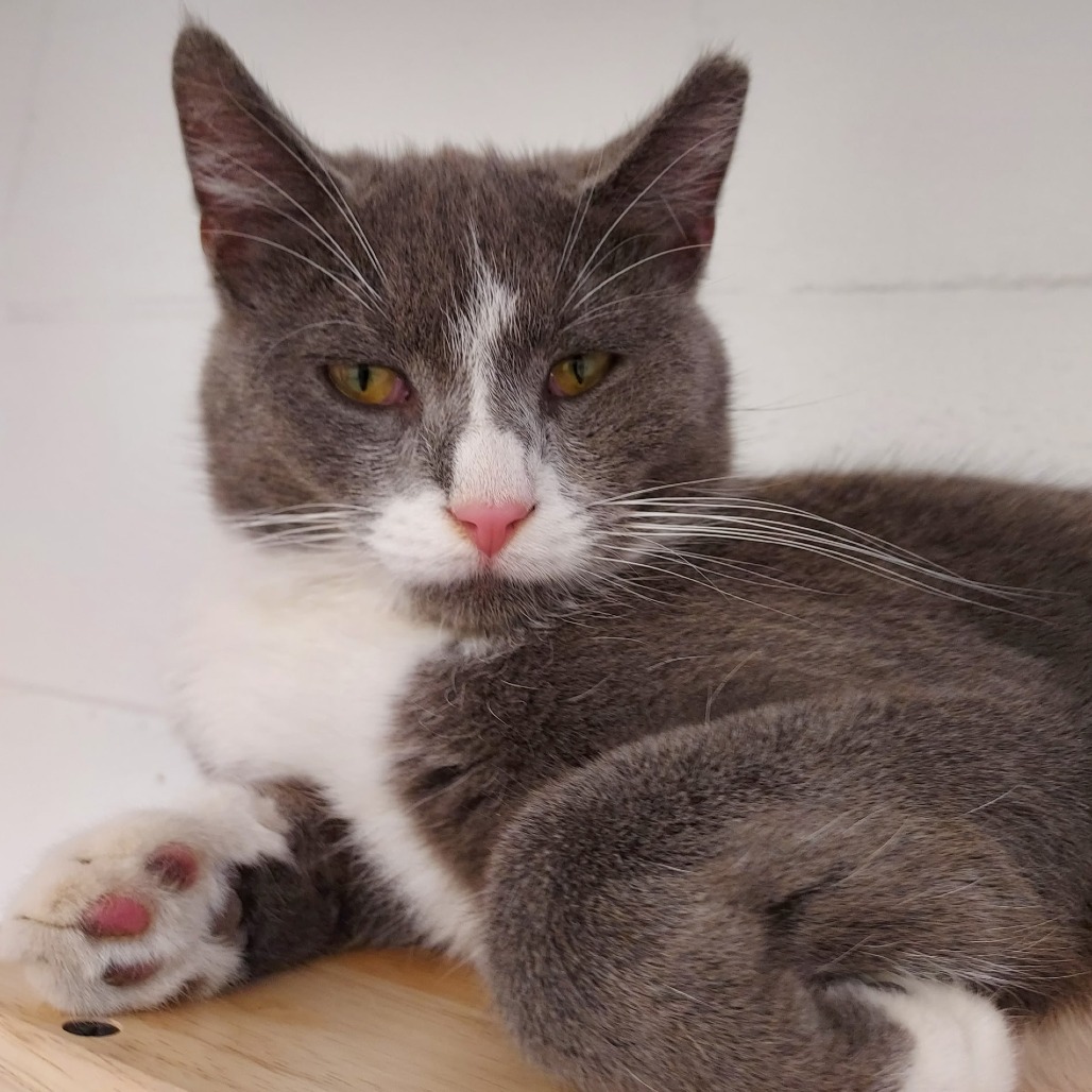 Greg — thumbnail 5