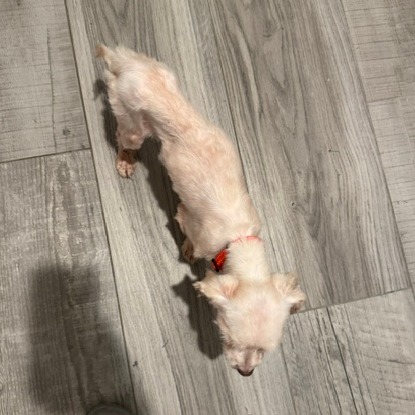George, photo 7