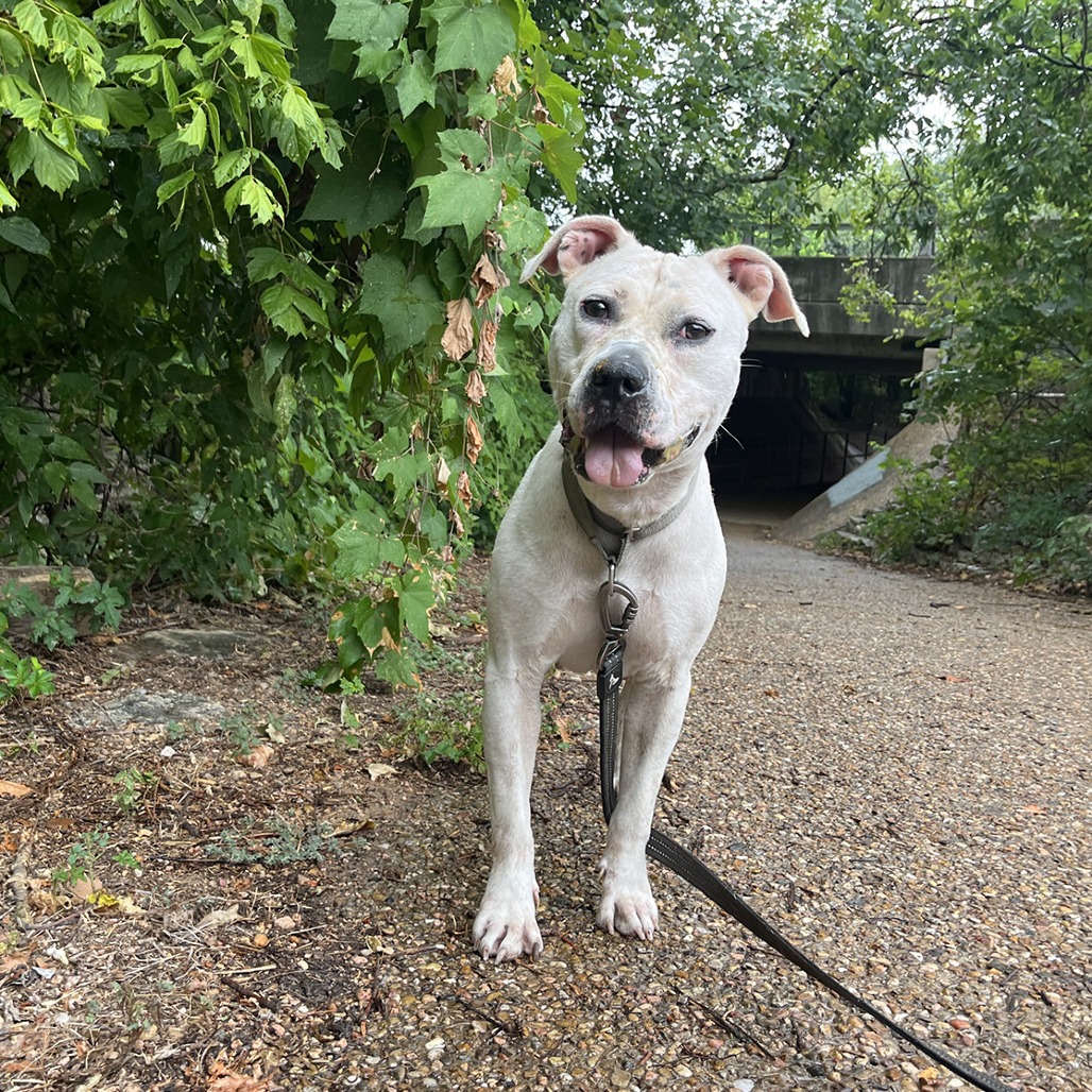 Angie — thumbnail 9