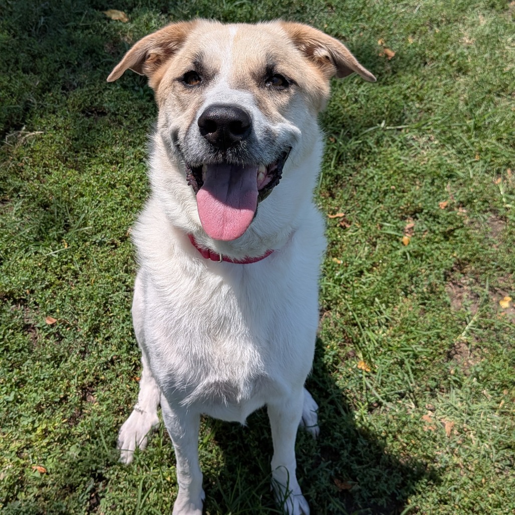 Charlie