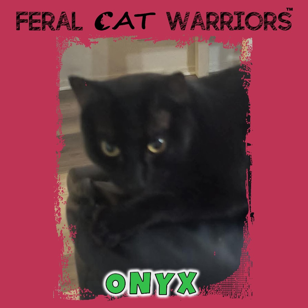 Onyx