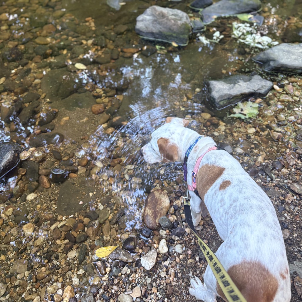 Otis, photo 10