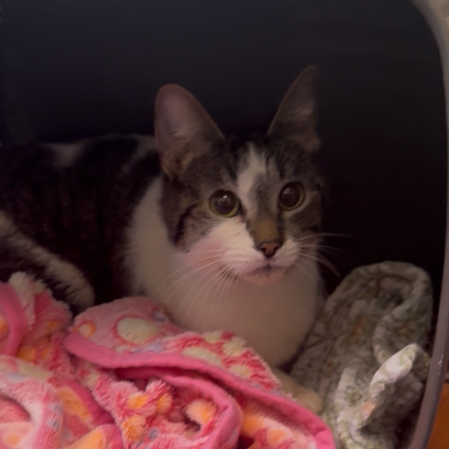 McKenna — thumbnail 4