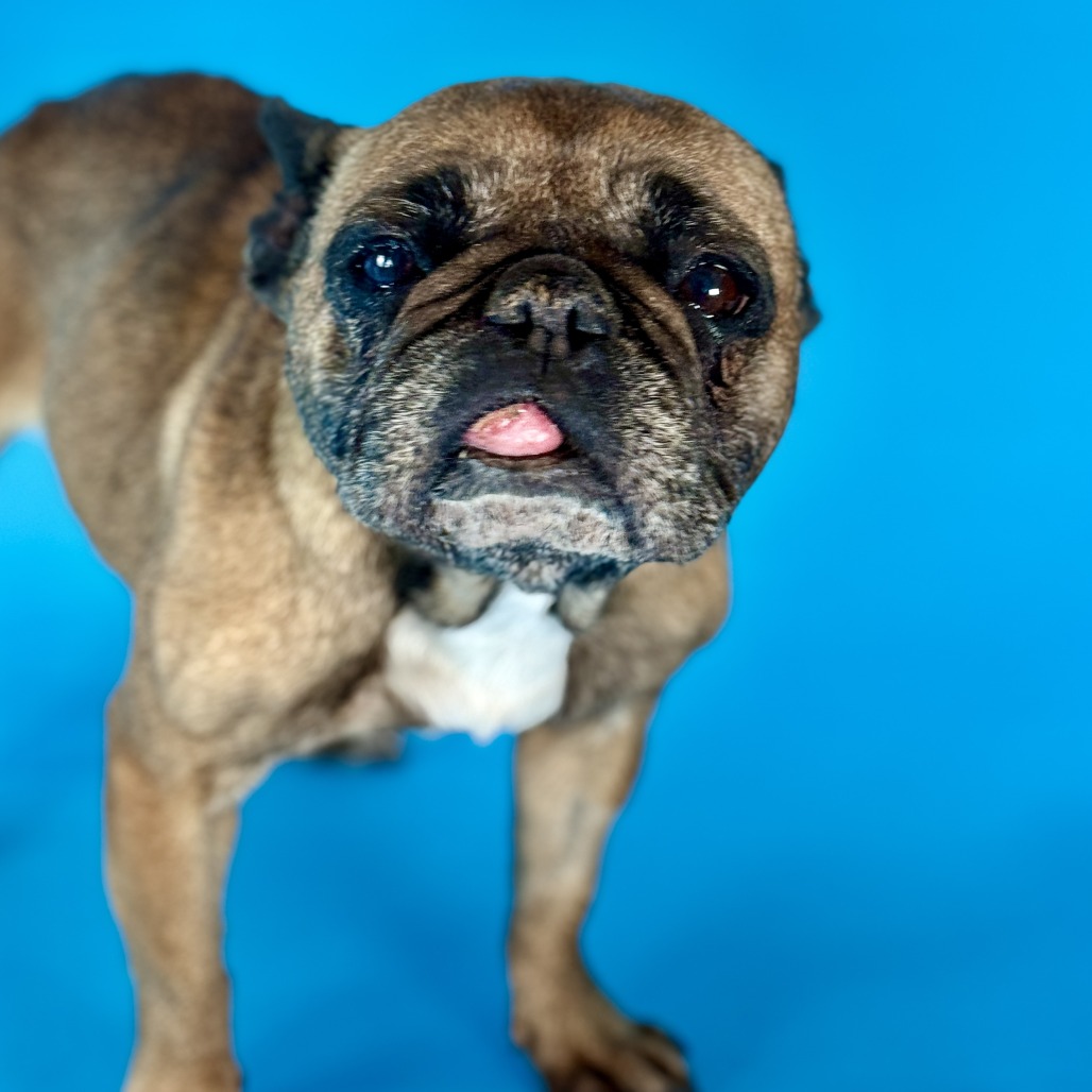 Ethel — thumbnail 5