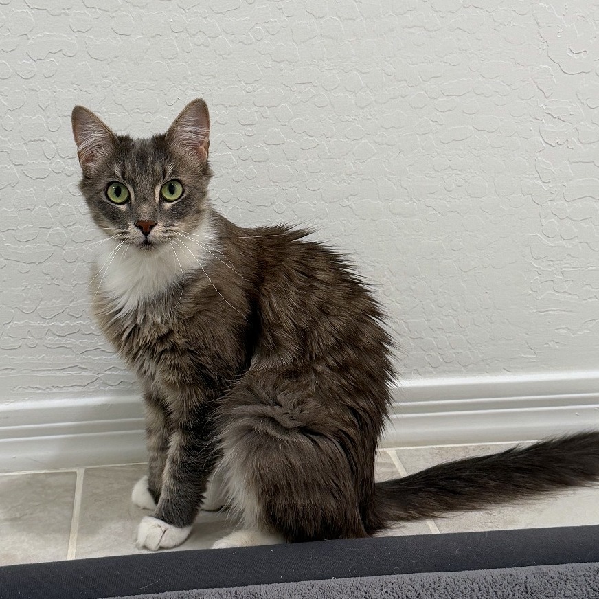 Mia