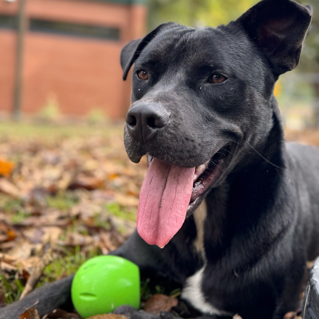 Bret — thumbnail 4