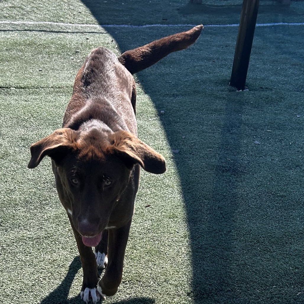 LILLY — thumbnail 5