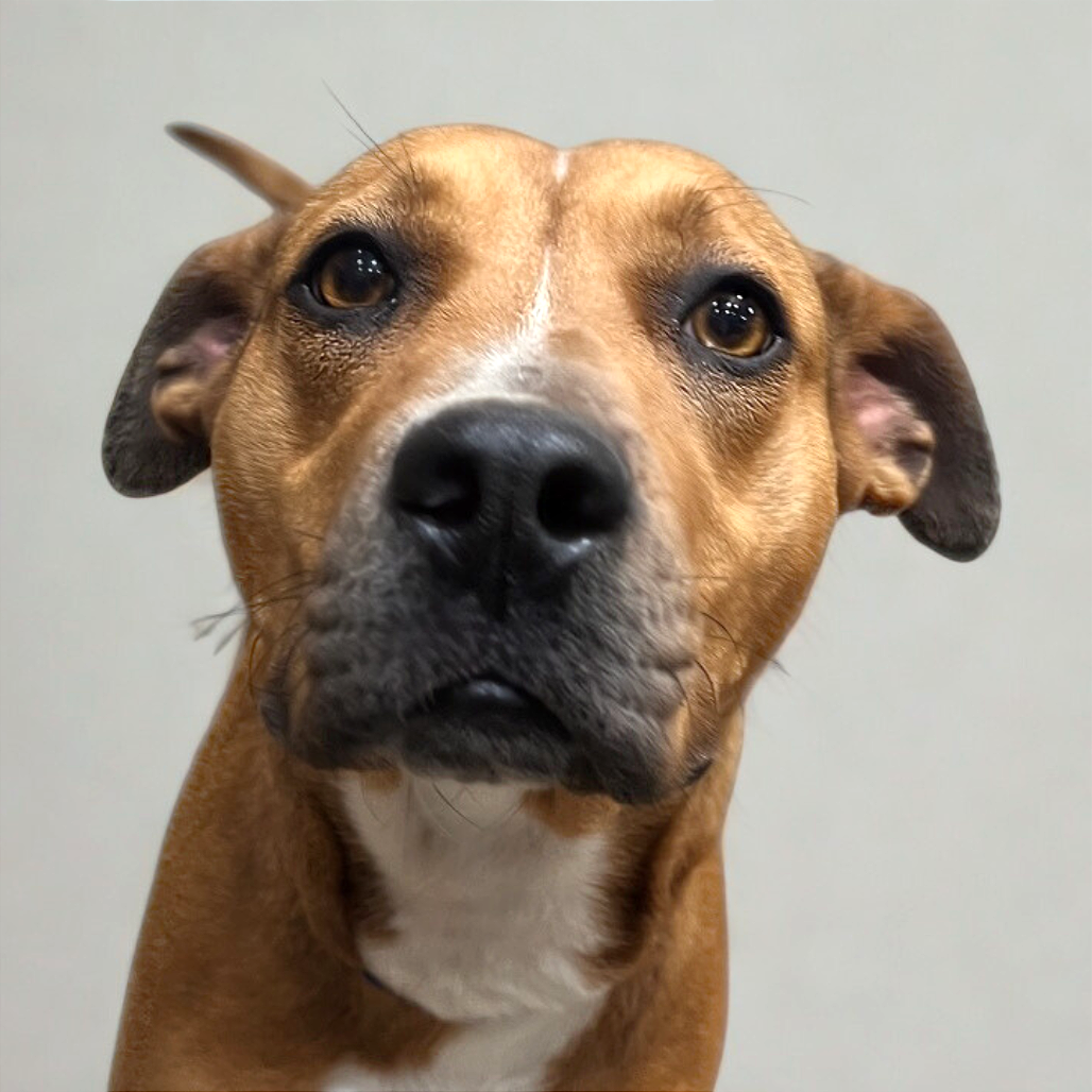 Maggie — thumbnail 4