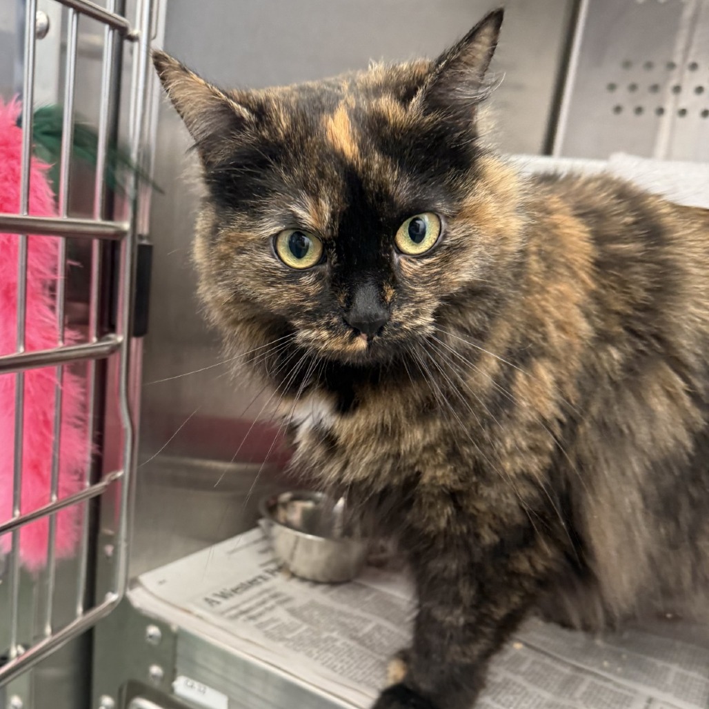 Photo of Laverne Jane 3