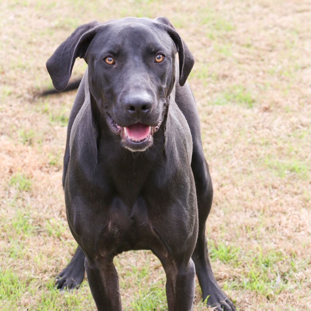 Maggie5, photo 5