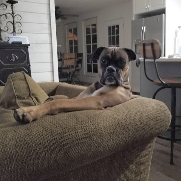 Barkley 15933, photo 2