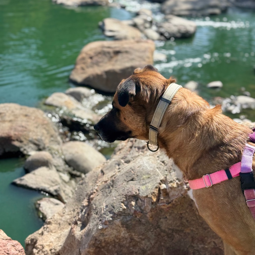 Bubz, photo 22