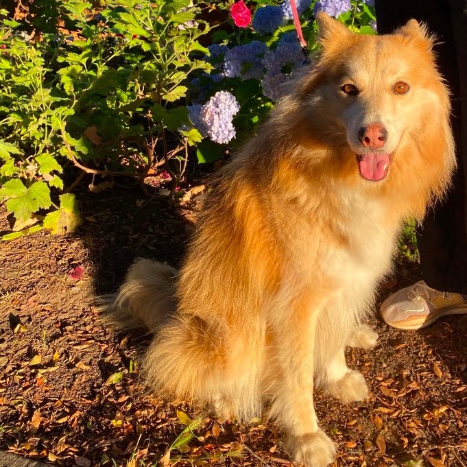 COOKIE, photo 24
