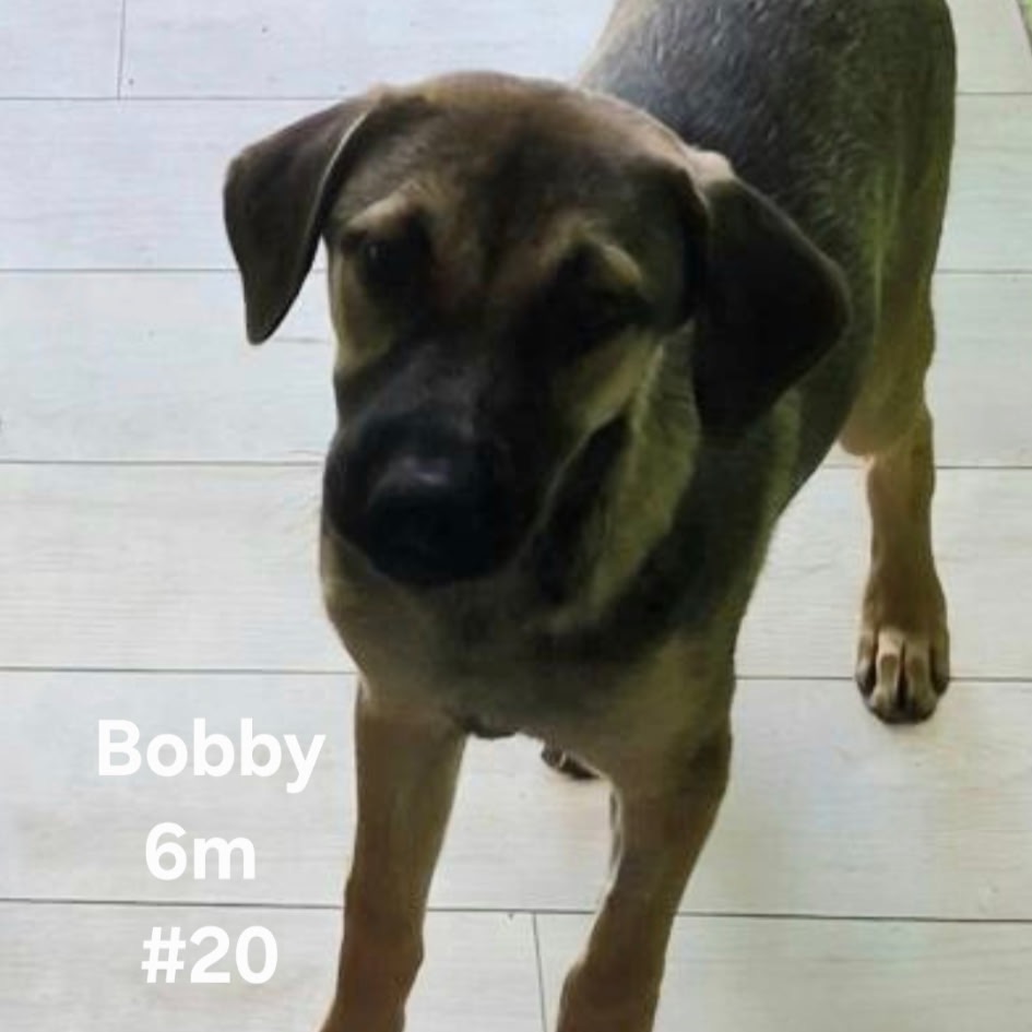 Bobby