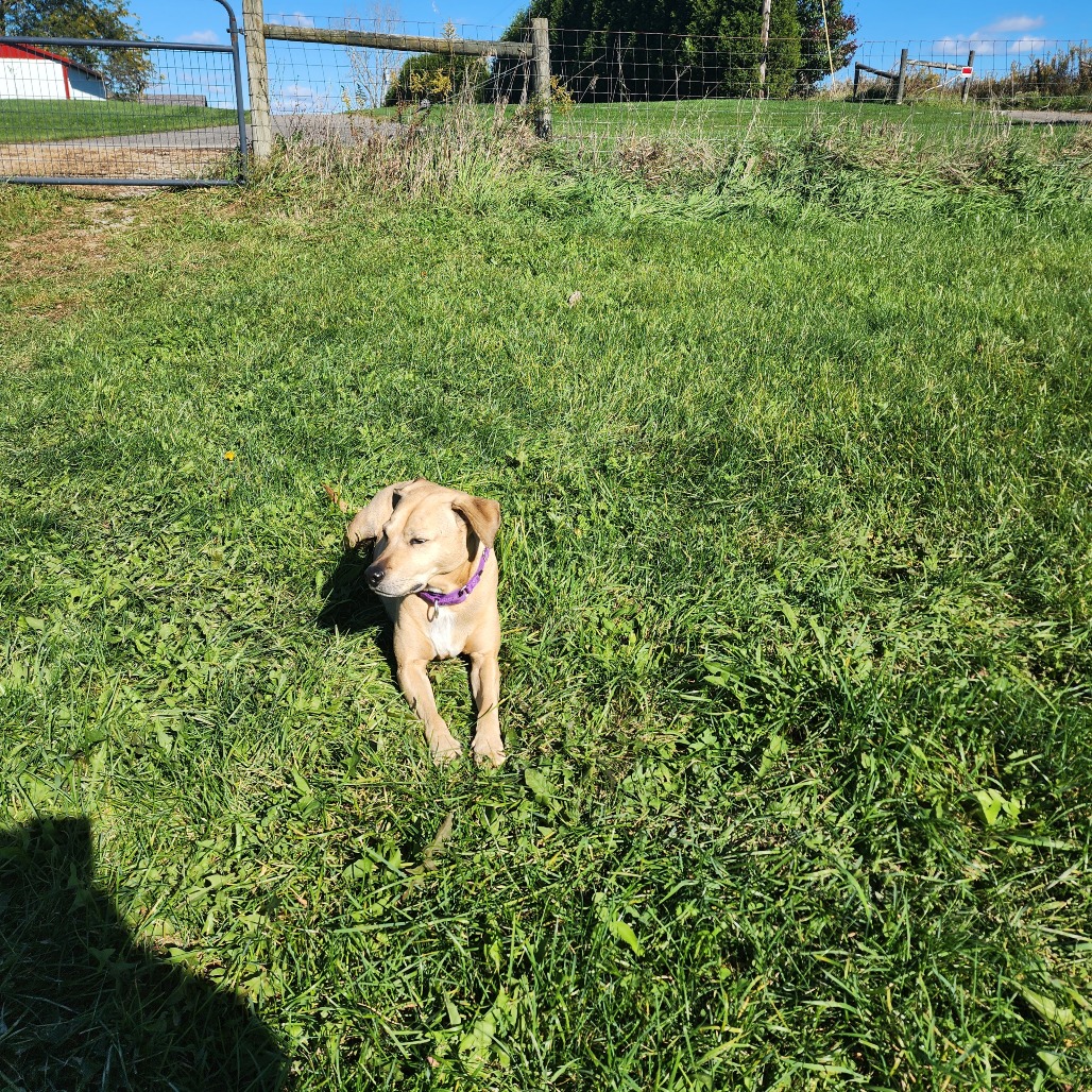 Photo of Buddy 4
