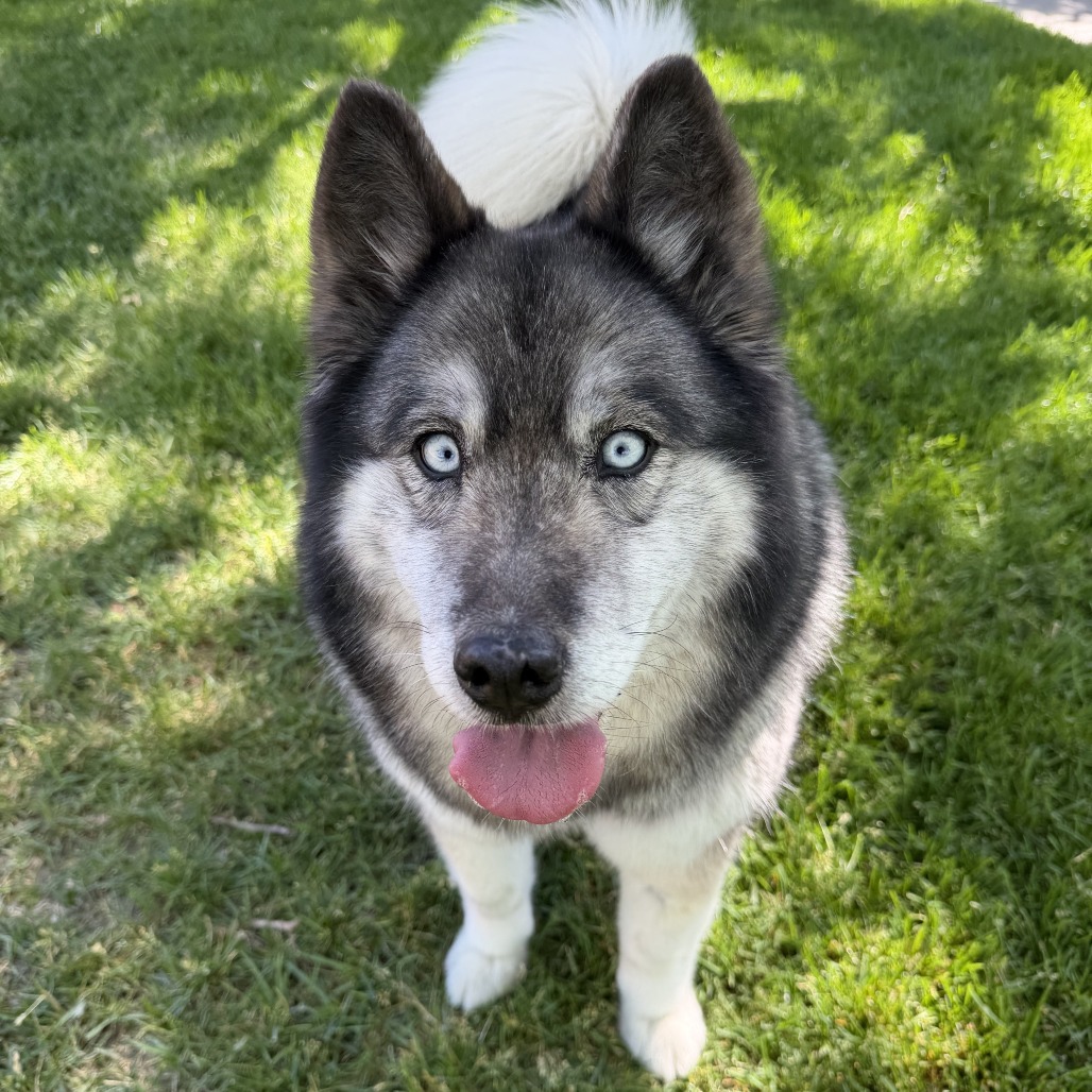 Bella, additional photo