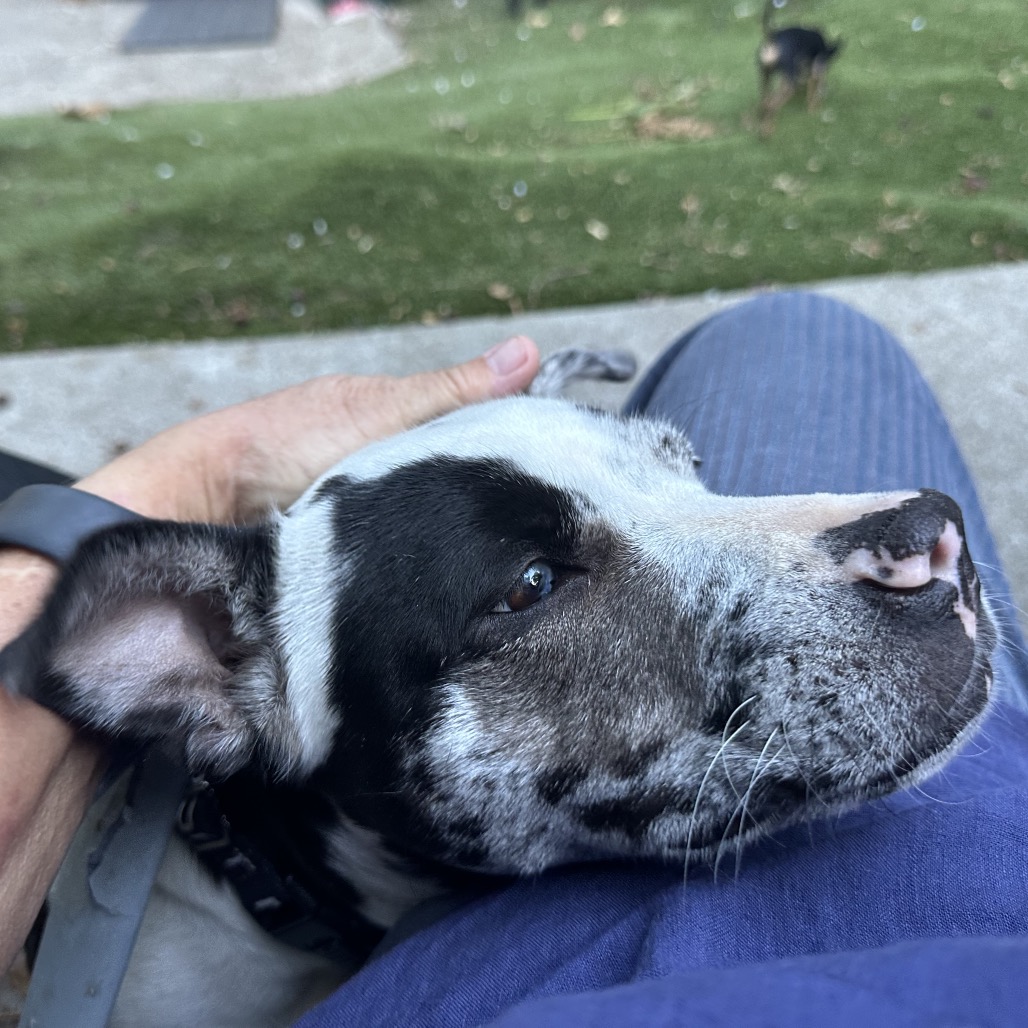 LULU BELLE, photo 5