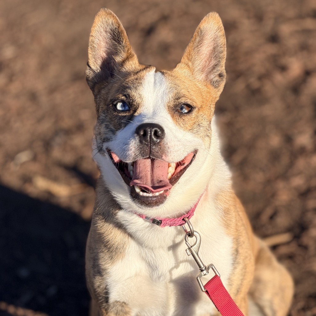 Holiday — thumbnail 4