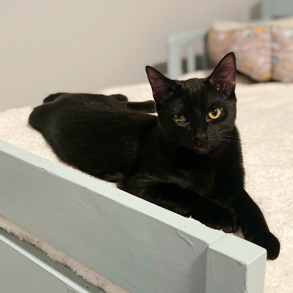 Billy — thumbnail 4