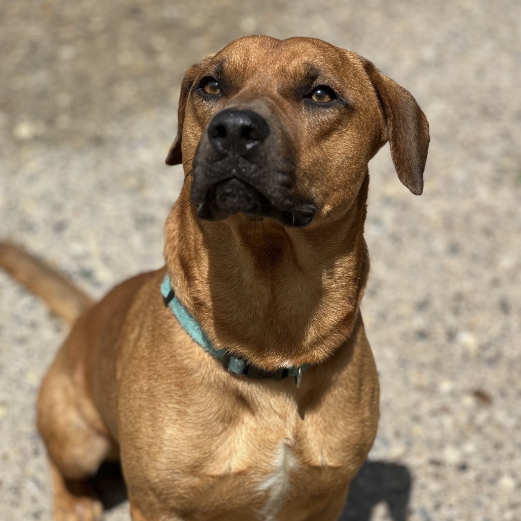 Toby — thumbnail 3