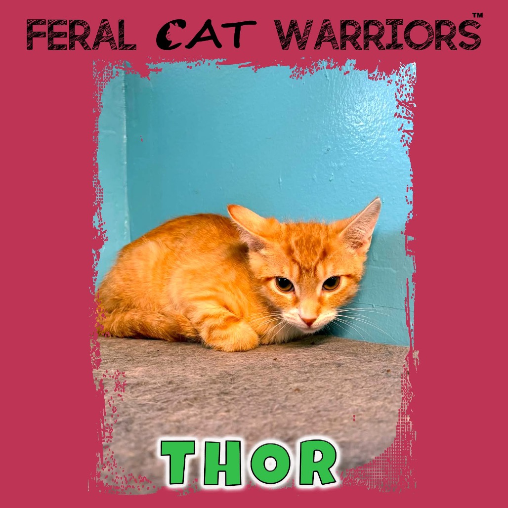 Thor