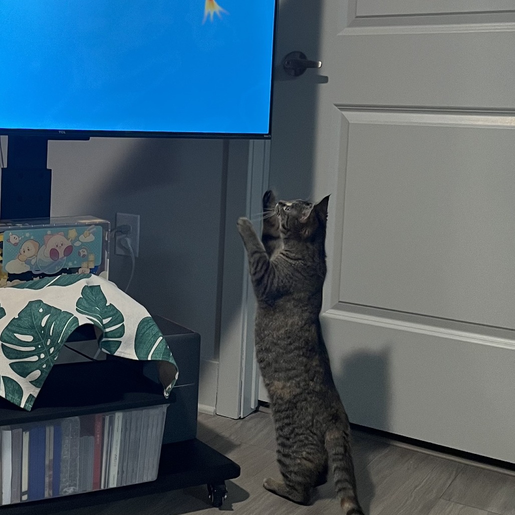 Ms. Pac Man — thumbnail 3