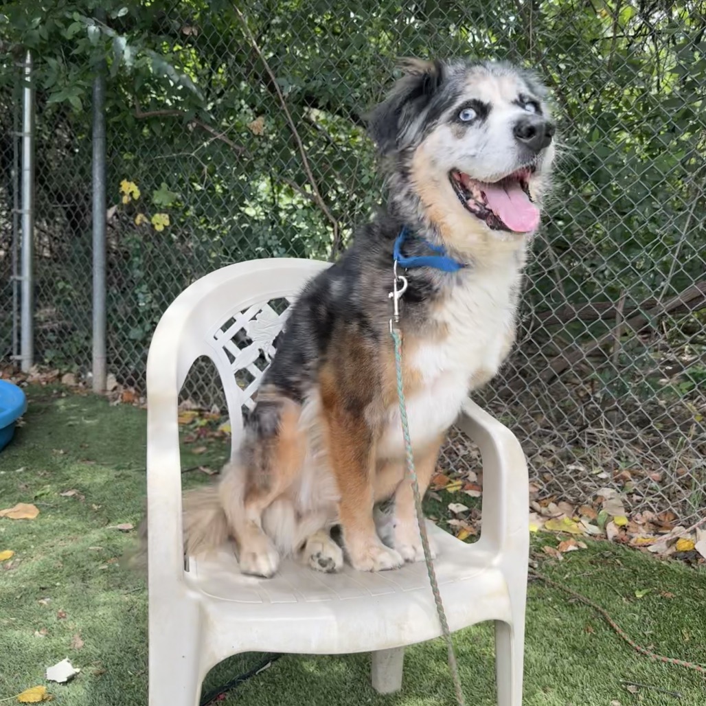 Fondue Platter — thumbnail 10