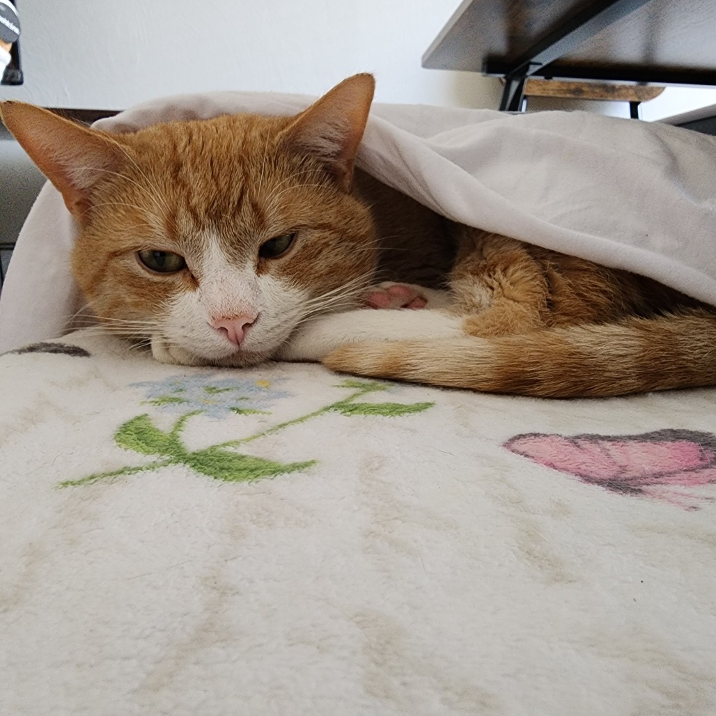Photo of Heffalump 10