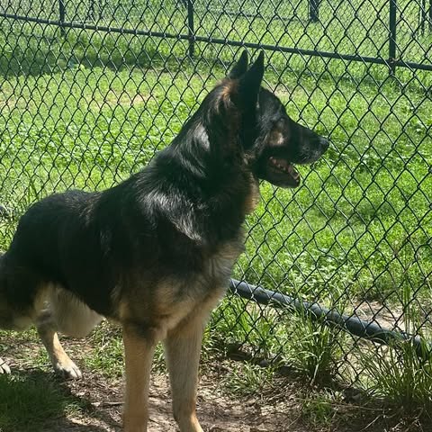 Photo of Tidus