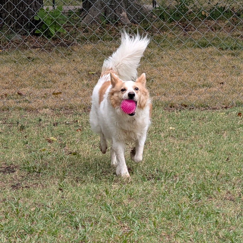 Sandy photo 28