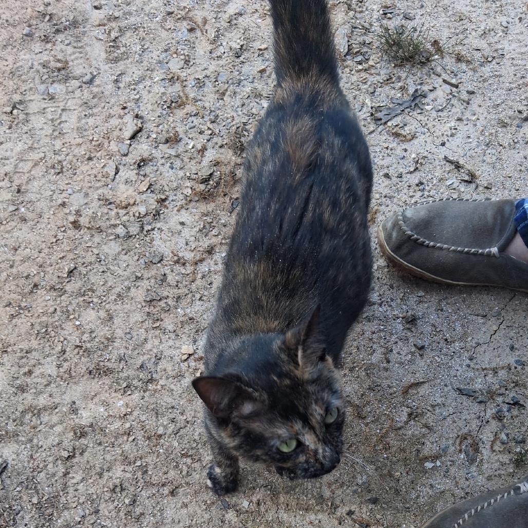 Pippie (mom), photo 2