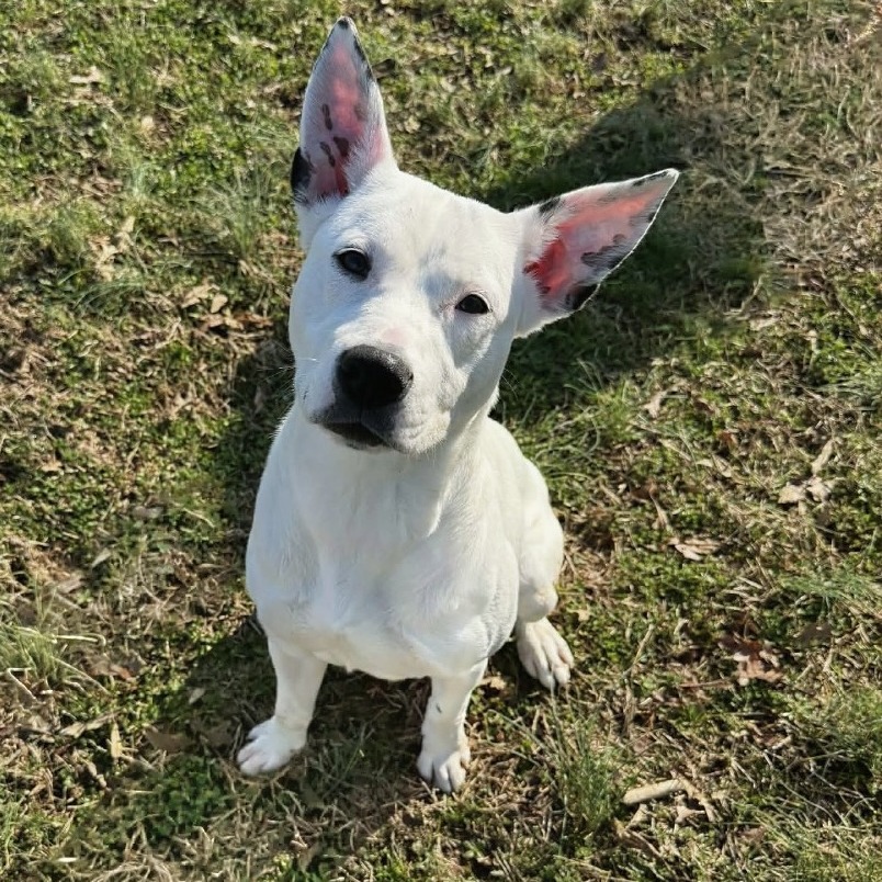 Winnie — thumbnail 7