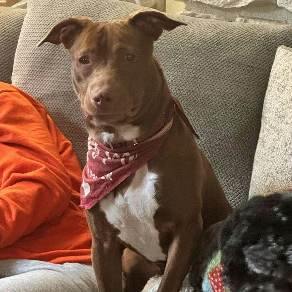 Photo of Starcraft 15