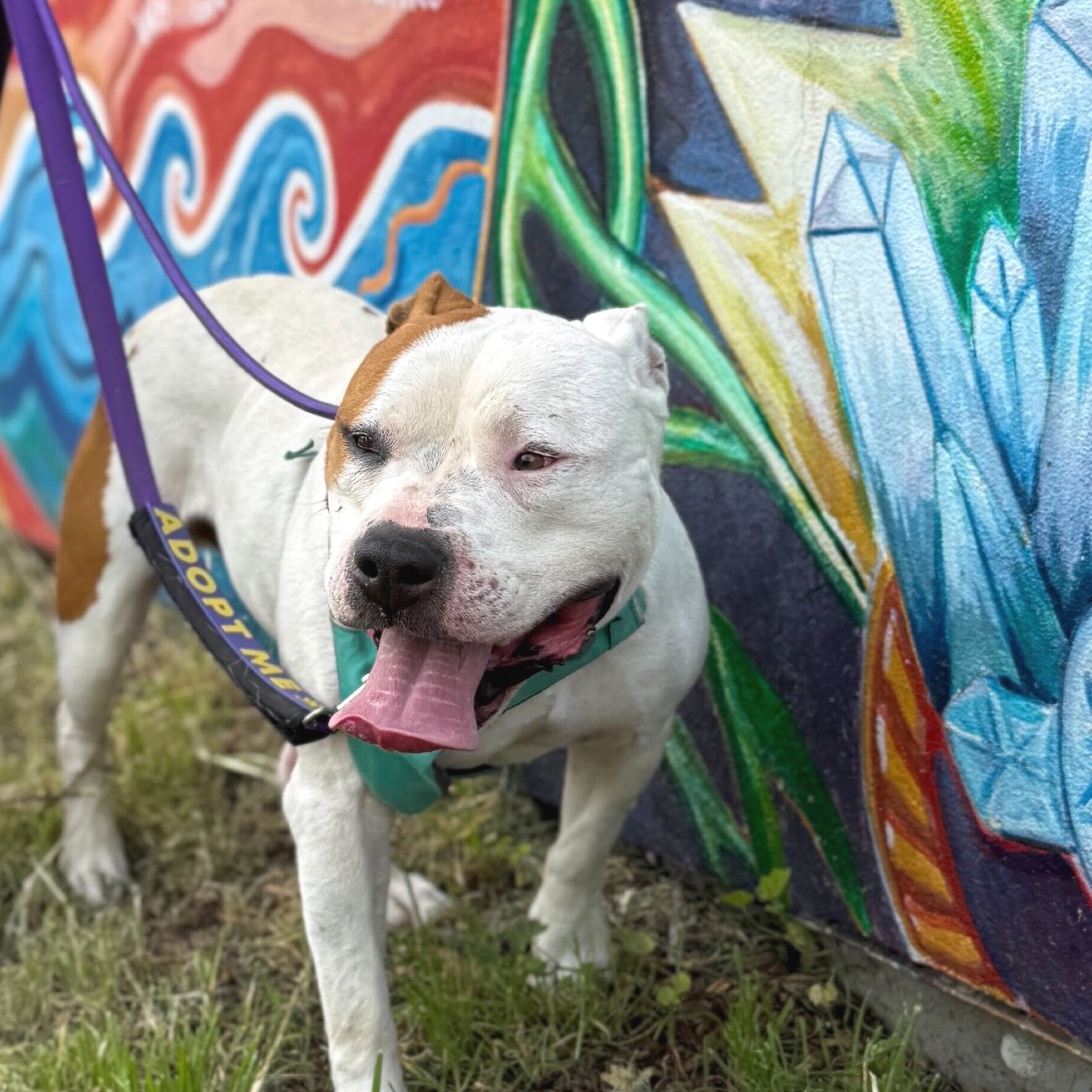 Gucci — thumbnail 4