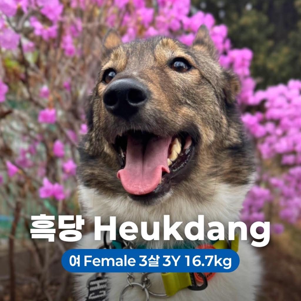Heukdang