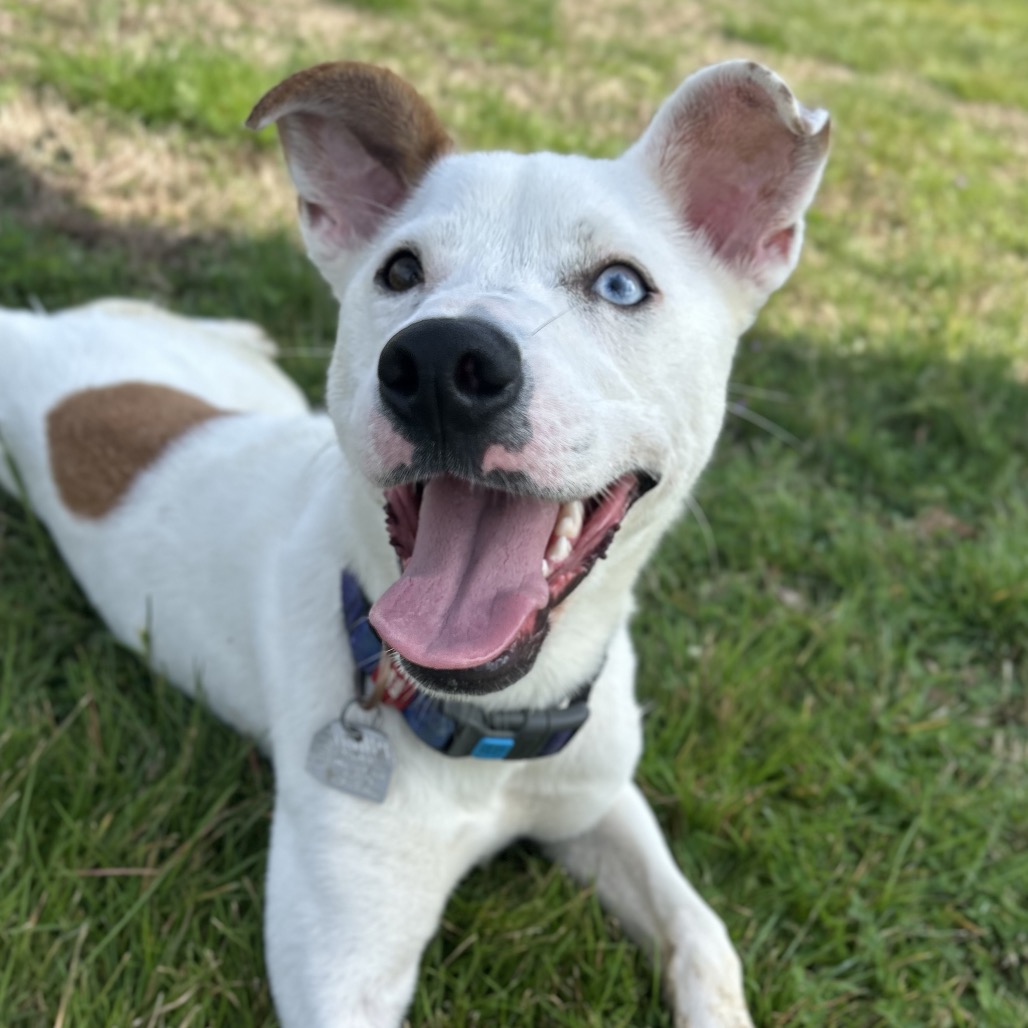 Little Lady — thumbnail 8