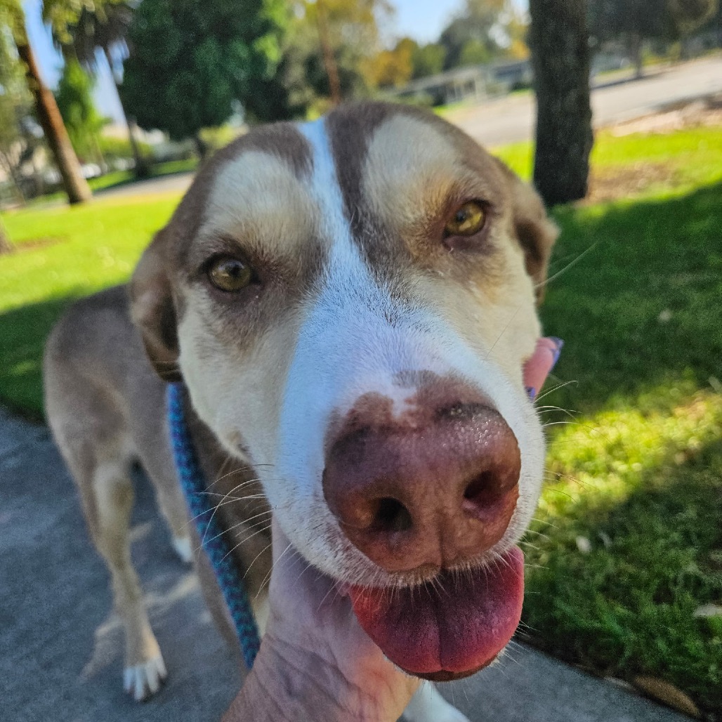BANDIT, photo 13
