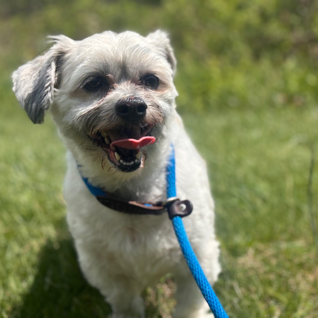 40ddba783ada2717b90d49a5714c9865