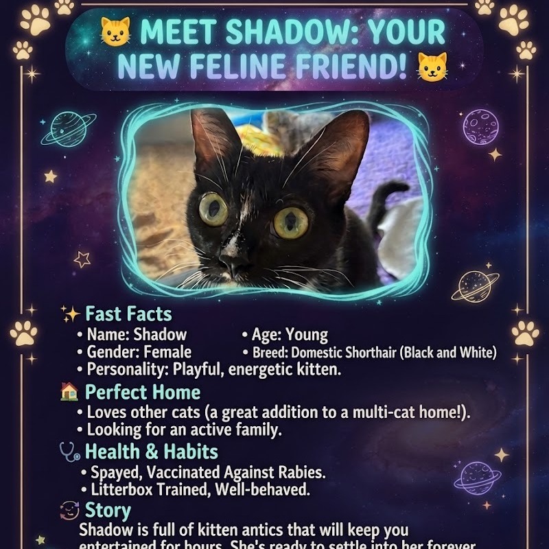 Shadow (Mom), photo 4