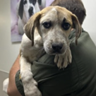 Elisa — thumbnail 2