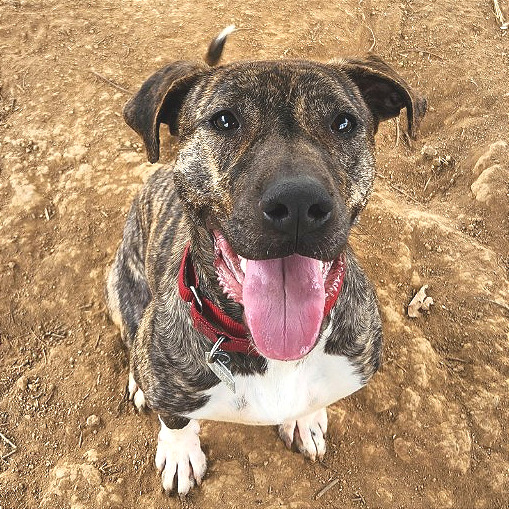 Finley — thumbnail 7