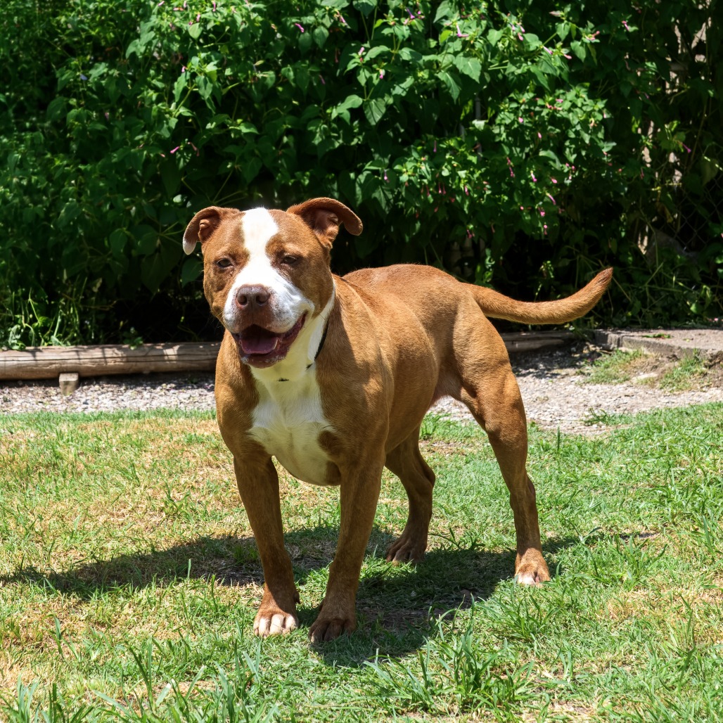 Photo of Remy