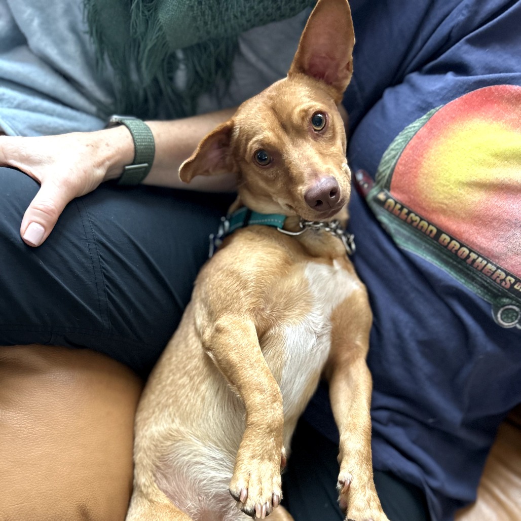 Napa — thumbnail 4