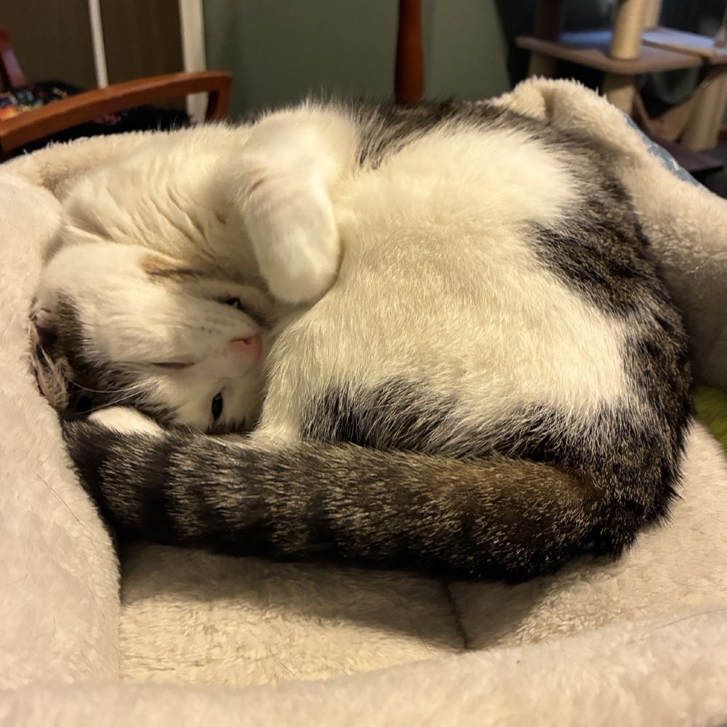 Lucy, photo 21