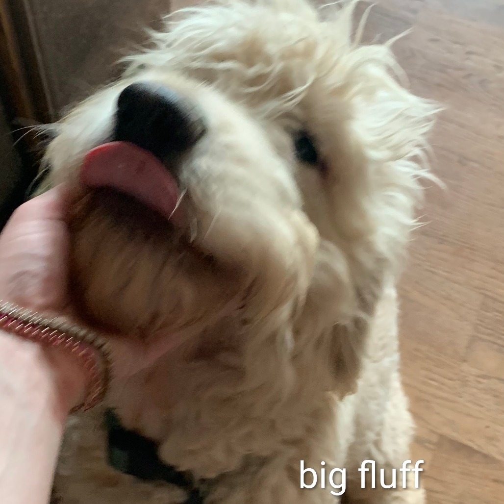 Big Fluff